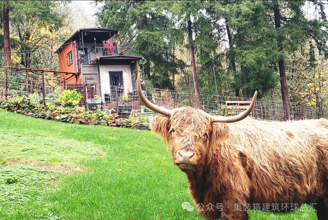 苏格兰高地奶牛相伴的集装箱住宿体验 | 集装箱民宿